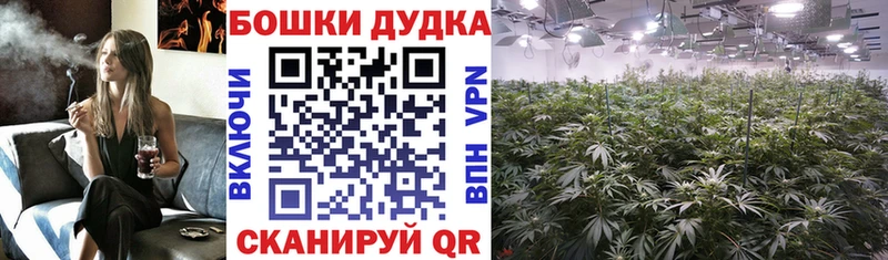 Как найти закладки Жердевка СК  Амфетамин  Cocaine  ГАШ  Канабис  Меф 