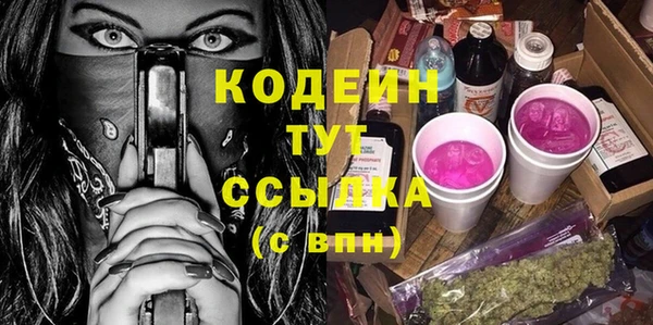 шишки Белоозёрский