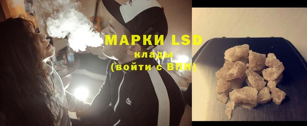 шишки Белоозёрский