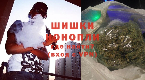 шишки Белоозёрский