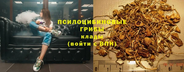 шишки Белоозёрский