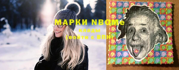 шишки Белоозёрский