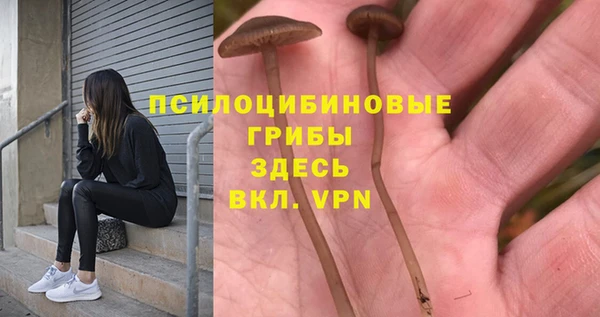 гидропоника Белокуриха