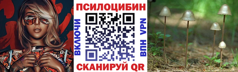 Псилоцибиновые грибы Psilocybine cubensis ОМГ ОМГ вход площадка клад Жердевка